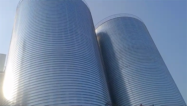 抚远2座混凝土高架卷板仓